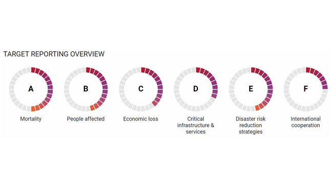 Stilisierte Übersicht über die Berichterstattung zu den Zielen des Sendai Rahmenwerks
